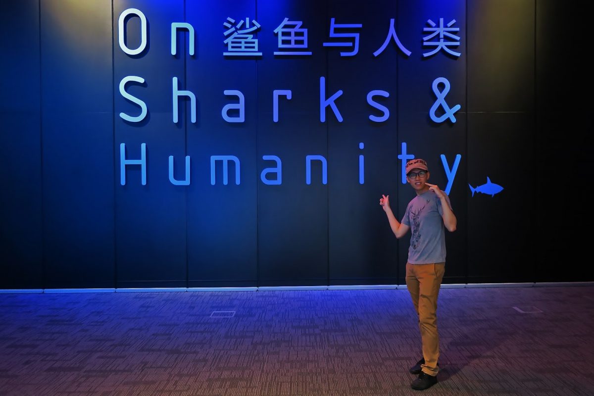 On Sharks and Humanity Exhibition (9 Mar 2016 – 26 Jun 2017)