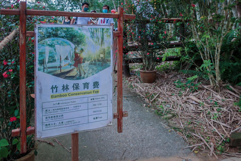 Putuo Village bamboo forest