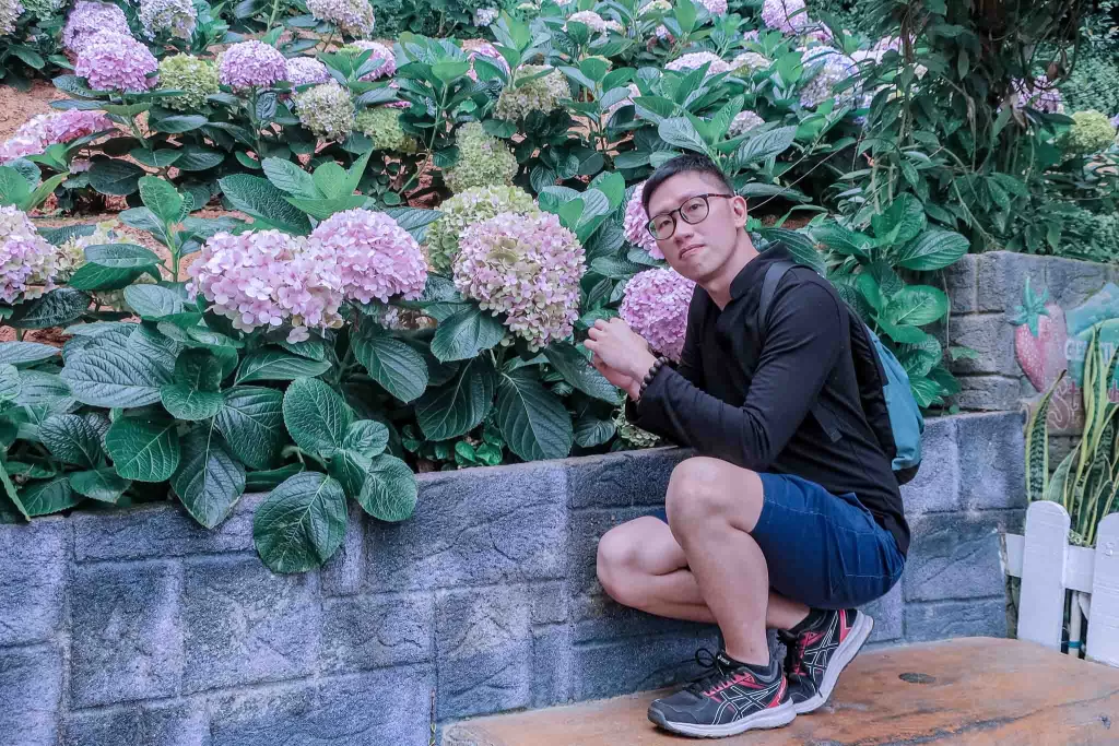 Lavender Garden at Cameron Highlands