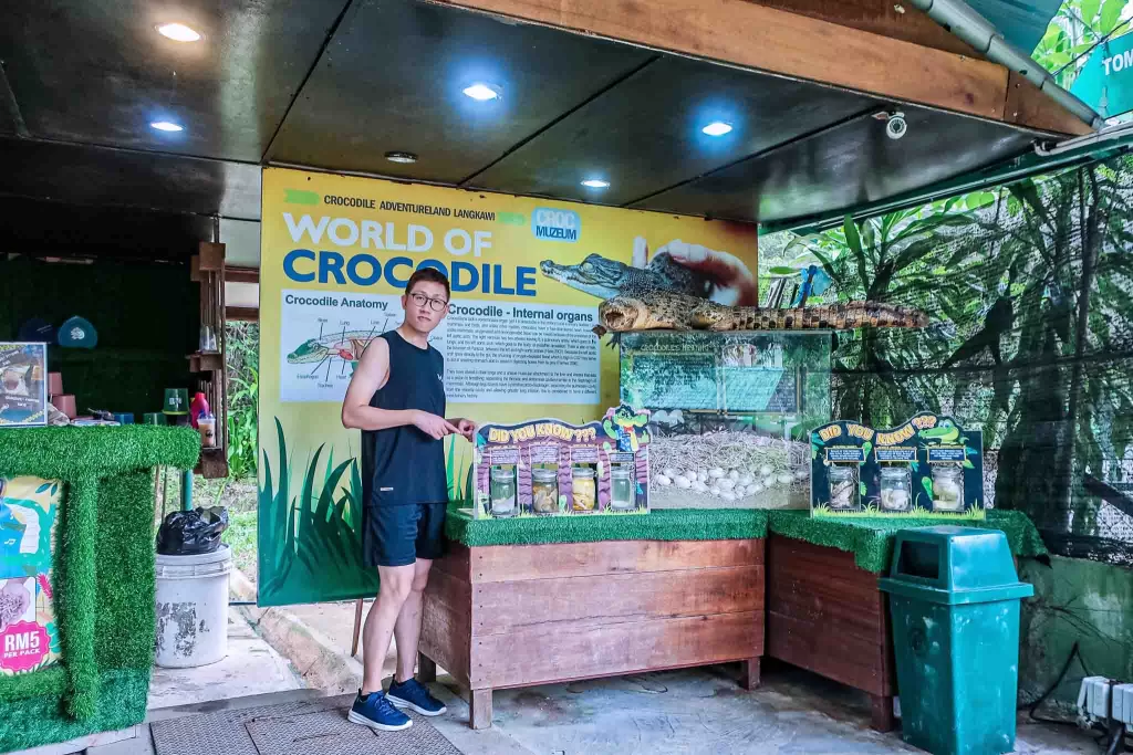 Crocodile Adventureland Langkawi Review