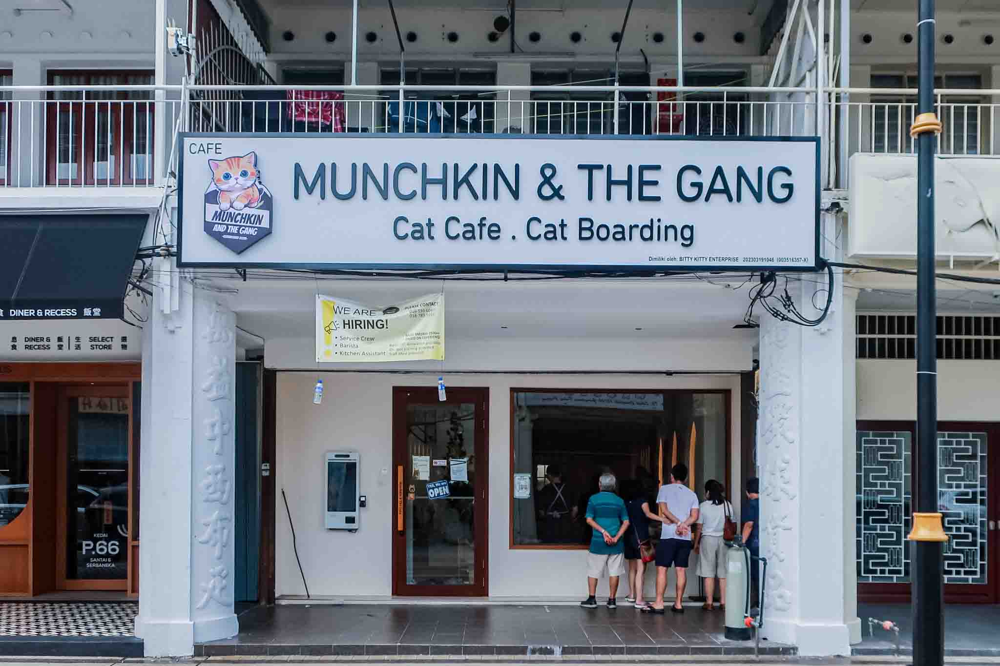 Munchkin and the Gang Cat Cafe in Penang Review