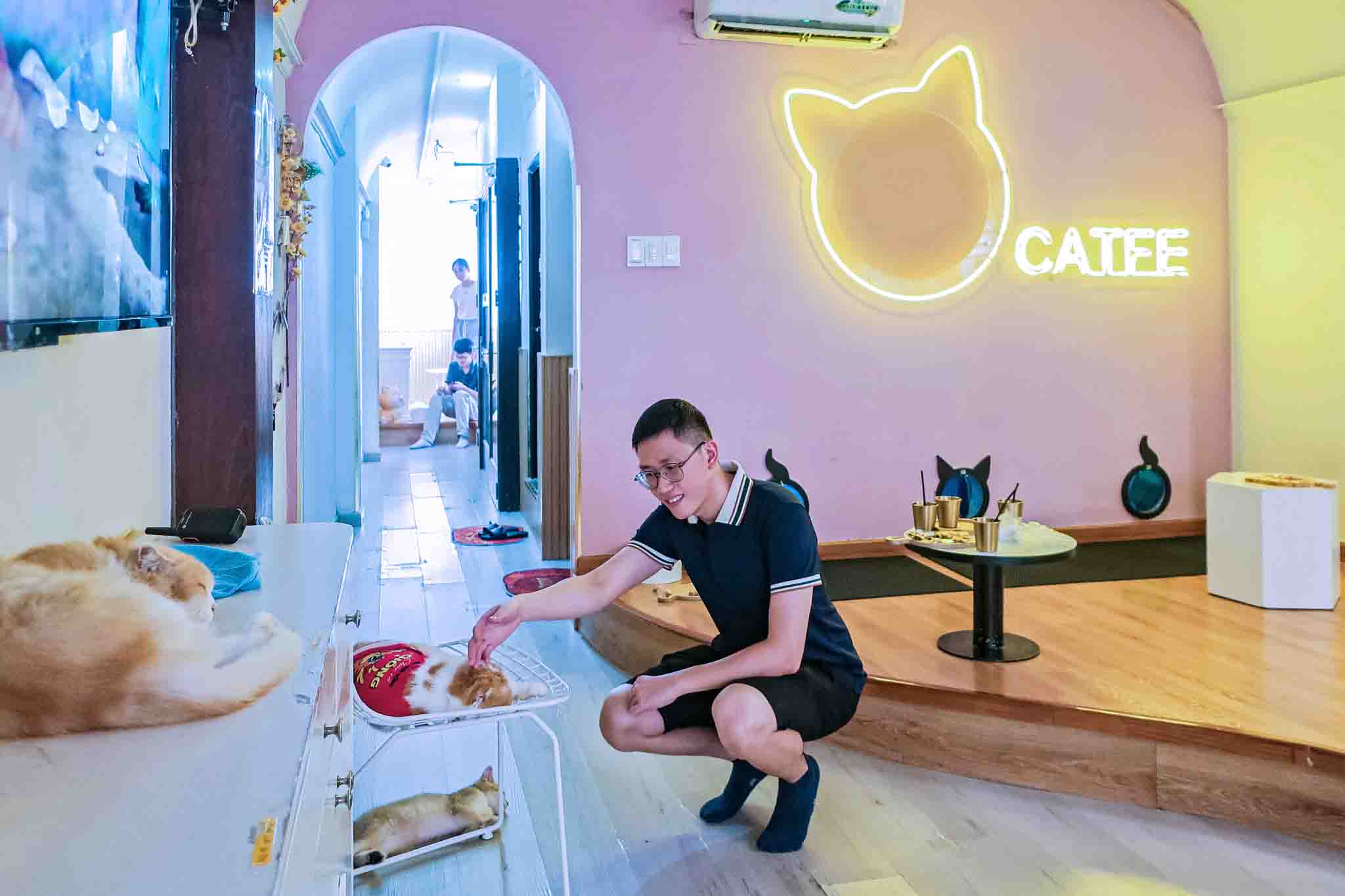 CATFE Cat Cafe in Ho Chi Minh City Review