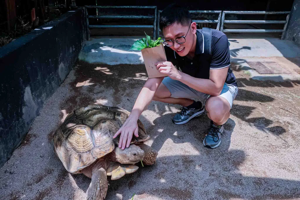 Butterfly and Reptile Sanctuary