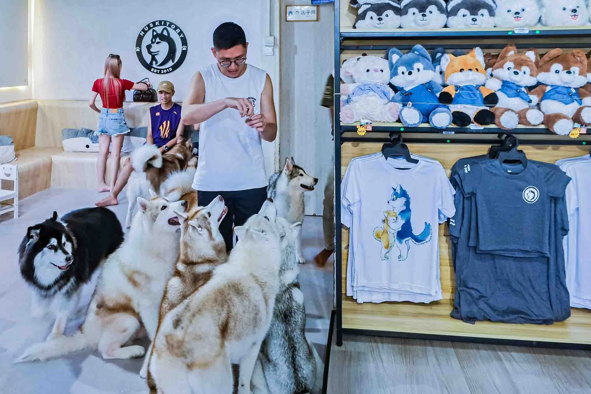 The Huskitory: Furry Encounter in Melaka