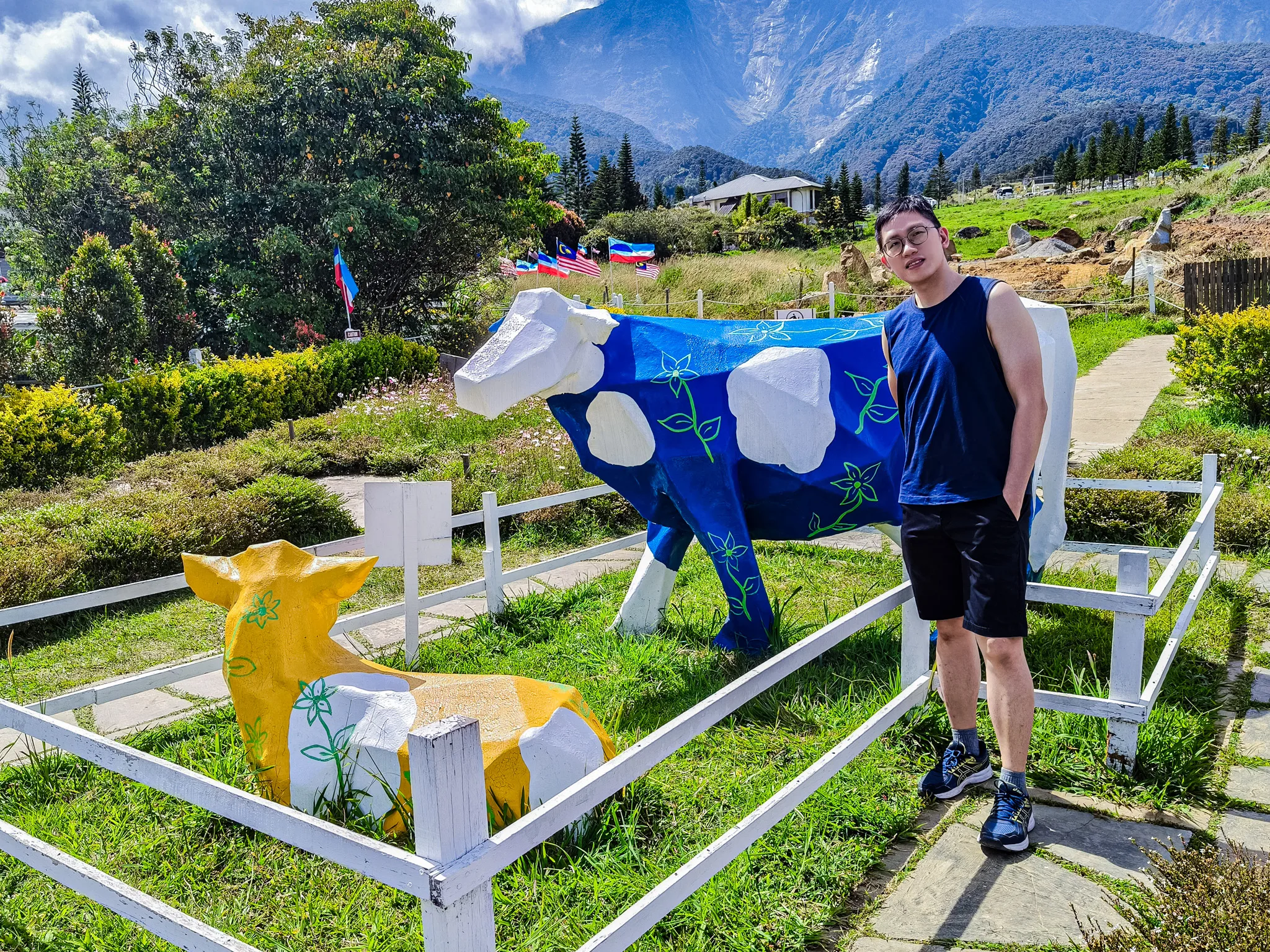 Desa Cattle Dairy Farm: Switzerland of Malaysia in Kundasang